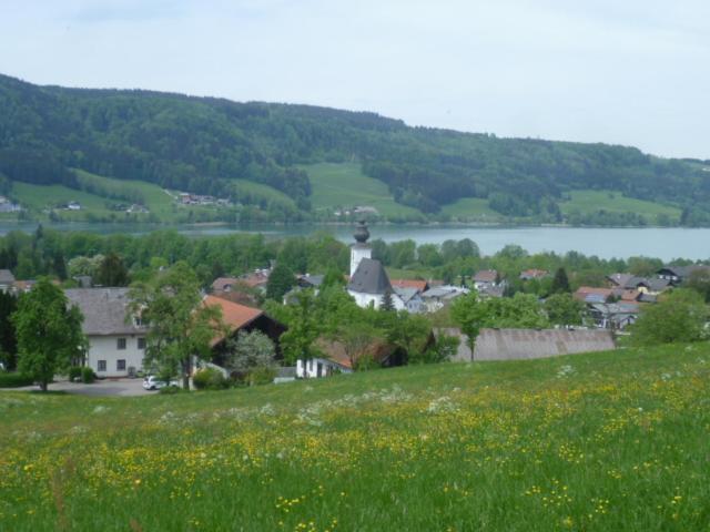 Wunderschoene Ferienwohnung Mit Seeblick Zell am Moos Exterior foto